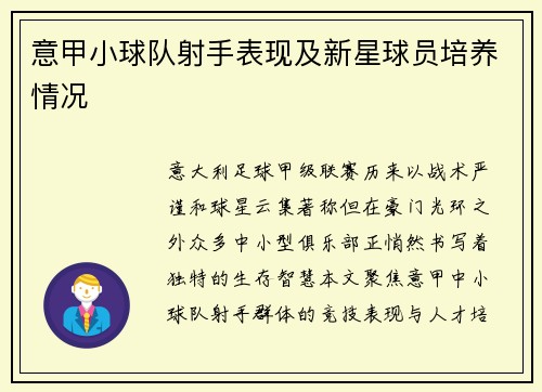 意甲小球队射手表现及新星球员培养情况